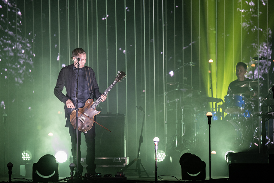 the wombats